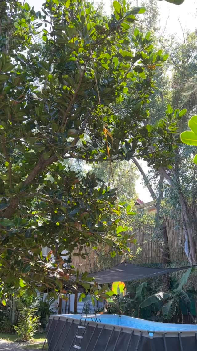 Scenic nature surroundings at Tubi Haus